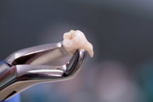 Dental tool holding tooth. 